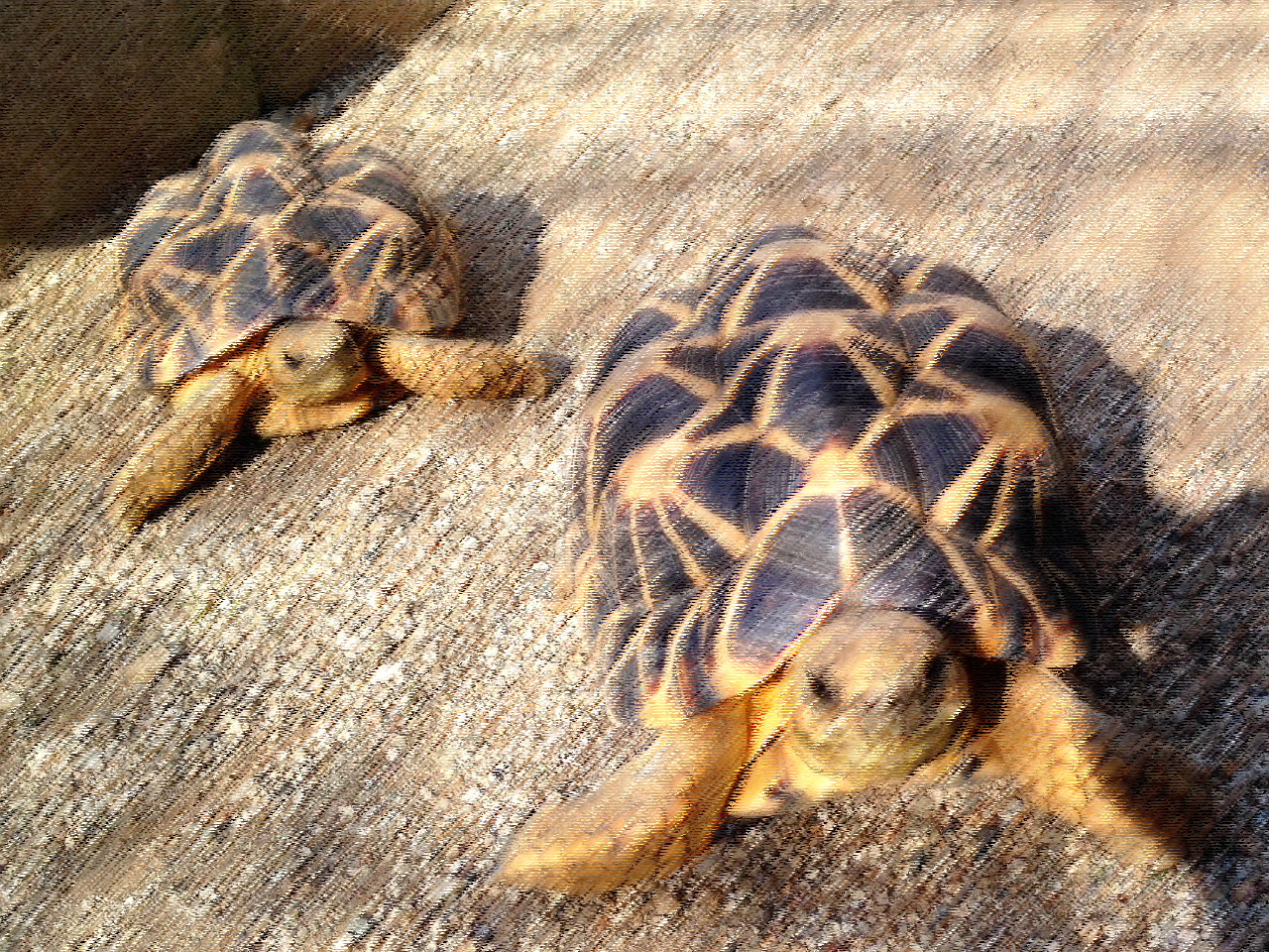 だんらんの家上代町　チラシ